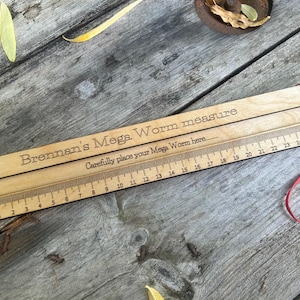 Mega Worm measure: Large Wooden Ruler - Natural Oil Finish