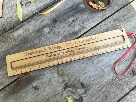 Mega Worm measure: Large Wooden Ruler - Natural Oil Finish