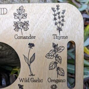 Nature Learning Herb Tray, Birch Wood (12 Engraved Herbs, Handles) image 4
