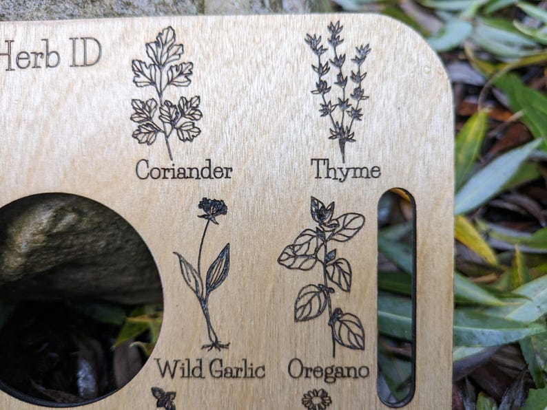 Nature Learning Herb Tray, Birch Wood (12 Engraved Herbs, Handles) image 4