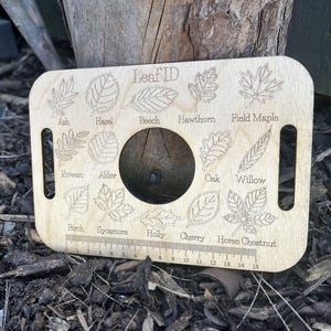 A wooden leaf identification guide with various types of leaves and a ruler for size comparison, placed on a bed of leaves and twigs.