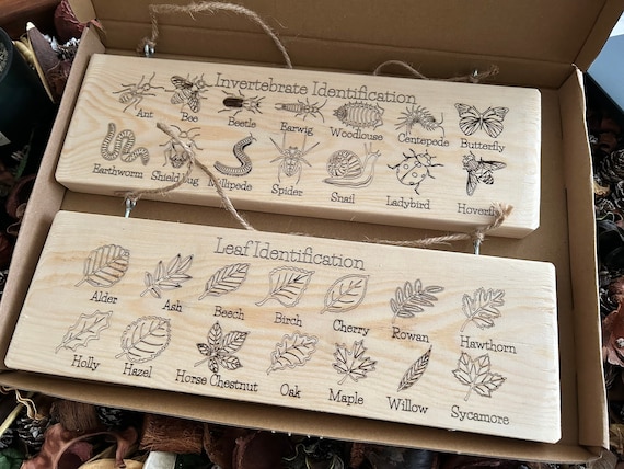 Forest School Nature Sign, Rustic Pine Wood, Insect and Leaf ID
