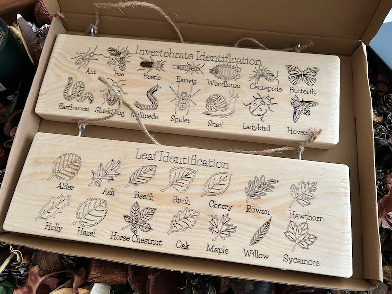 A round wooden nature learning dial made from 3 mm birch plywood, featuring engraved illustrations of 14 common leaves arranged around a rotating centre, designed for children’s outdoor learning and tree identification