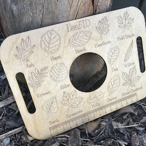 A wooden leaf identification guide with various types of leaves and their names printed on it, placed on a bed of leaves and twigs.