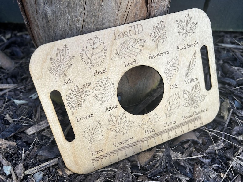 A wooden leaf identification guide with various types of leaves and their names printed on it, placed on a bed of leaves and twigs.