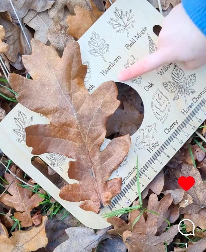 A hand is pointing to a leaf on the ground, surrounded by fallen leaves and a leaf-shaped object.