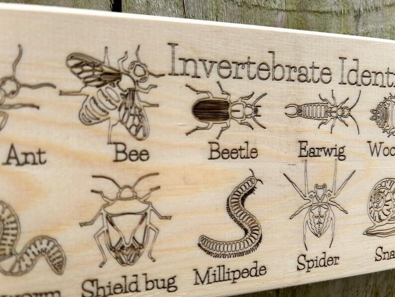 May include: A wooden sign with the text "Invertebrate Identification" and illustrations of various invertebrates, including an ant, bee, beetle, earwig, woodlouse, shield bug, millipede, spider, and snail.