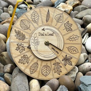 Cadran d'apprentissage de la nature, guide botanique de poche | Contreplaqué de bouleau, 14 feuilles communes - 14,5 cm de diamètre