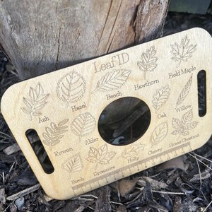 A wooden leaf ID card with illustrations of various leaves and a hole in the center, placed on a bed of leaves and twigs.