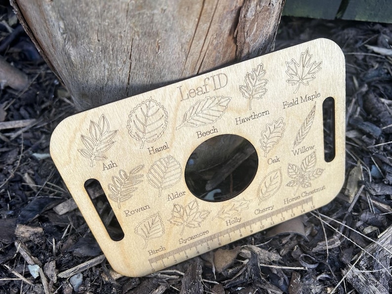 A wooden leaf ID card with illustrations of various leaves and a hole in the center, placed on a bed of leaves and twigs.