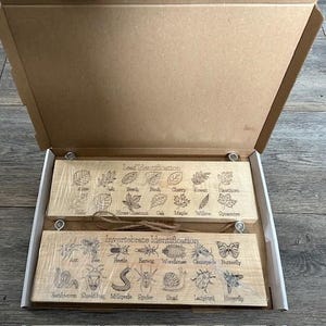 Forest School Nature Sign, Rustic Pine Wood, Insect and Leaf ID image 8