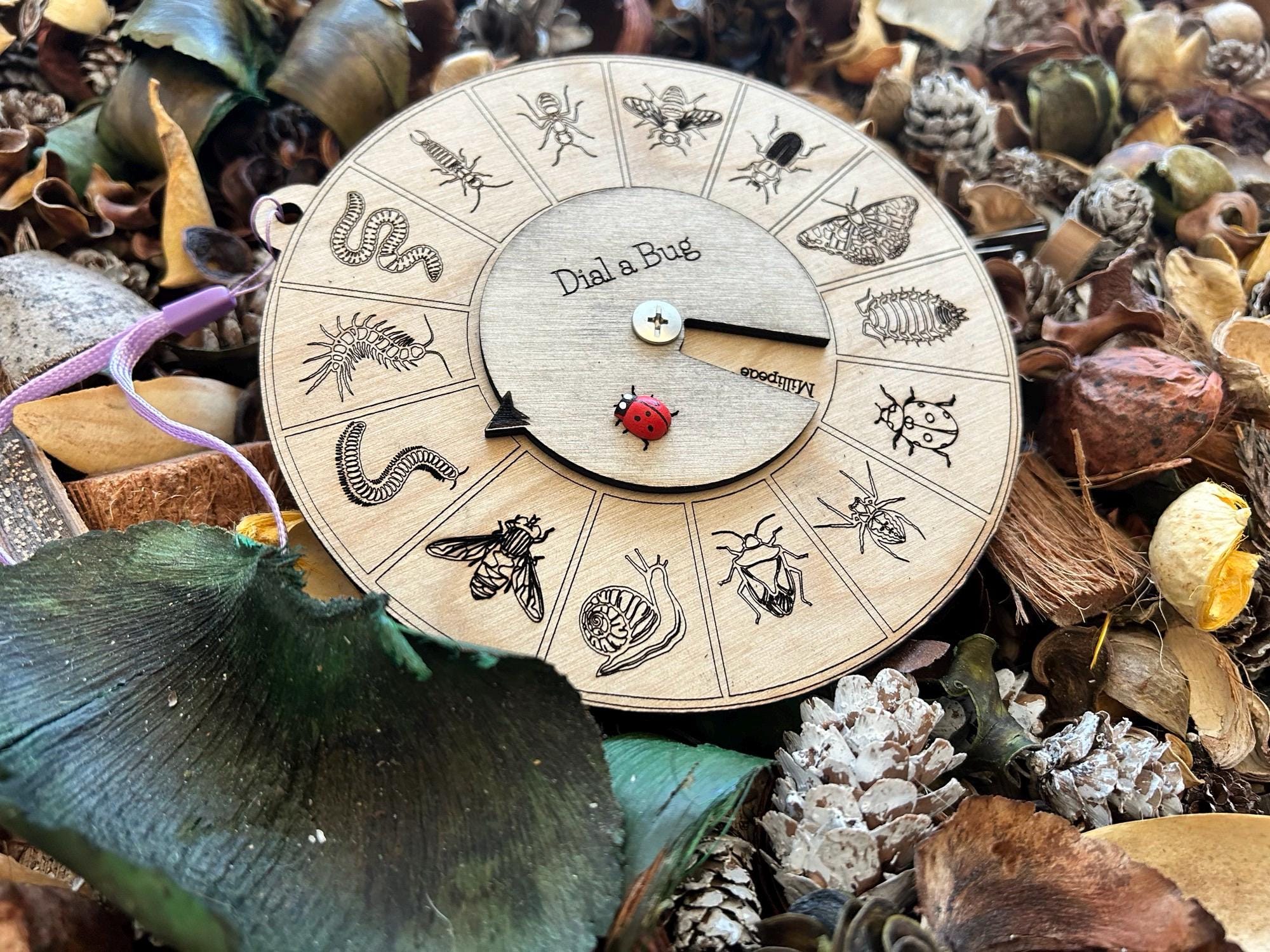 Wooden Insect Dial Toy: Bug Identifier for Kids, Eco-friendly Nature ...