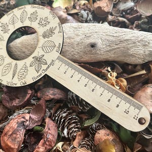 Personalized Leaf ID Lollipop: Birch Wood, 14 UK Native Trees