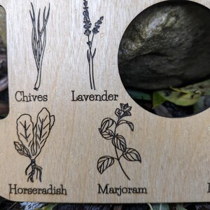 Nature Learning Herb Tray, Birch Wood (12 Engraved Herbs, Handles) image 5
