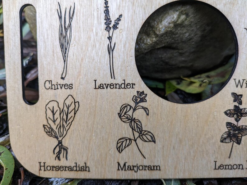 Nature Learning Herb Tray, Birch Wood (12 Engraved Herbs, Handles) image 5