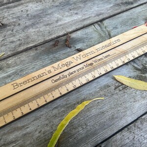 Mega Worm measure: Large Wooden Ruler - Natural Oil Finish image 4