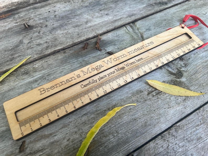 Mega Worm measure: Large Wooden Ruler - Natural Oil Finish image 4