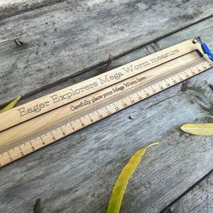 Mega Worm measure: Large Wooden Ruler - Natural Oil Finish image 7