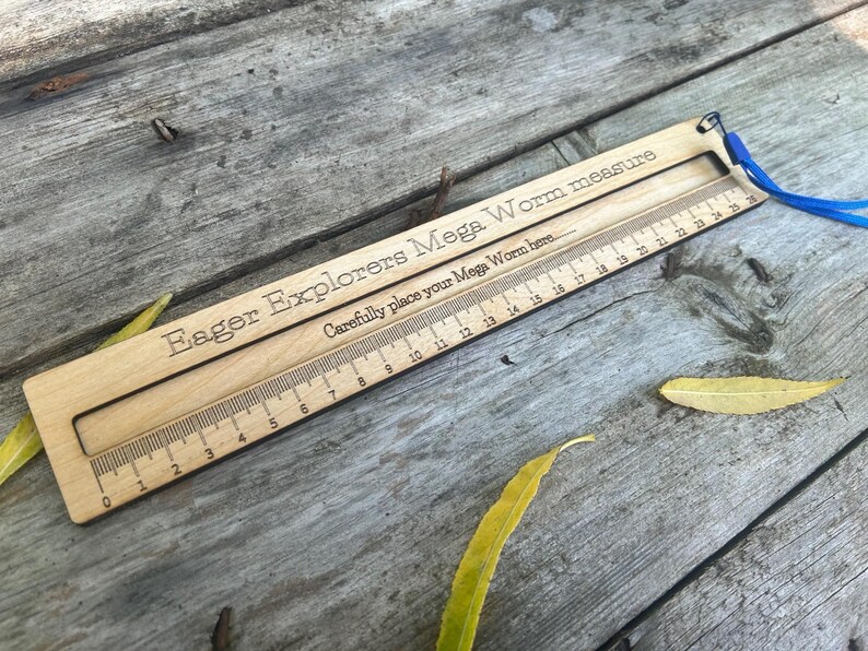 Mega Worm measure: Large Wooden Ruler - Natural Oil Finish image 7