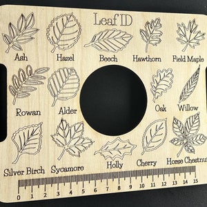 Leaf identification for tree and nature lovers, personalised teachers gift, forest school leaving gift,