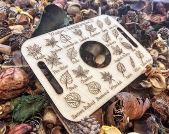 Educational Tree Tray - 21 Labeled North American Leaves