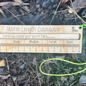 A wooden ruler with a green string attached to it, lying on a bed of leaves and twigs.