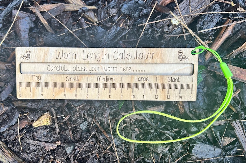 A wooden ruler with a green string attached to it, lying on a bed of leaves and twigs.