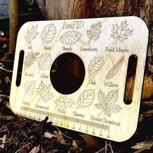 Nature Learning Leaf Tray, Birch Wood, Engraved Leaves (14 Pieces)
