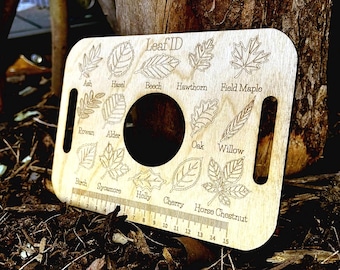 Nature Learning Leaf Tray, Birch Wood, Engraved Leaves (14 Pieces)