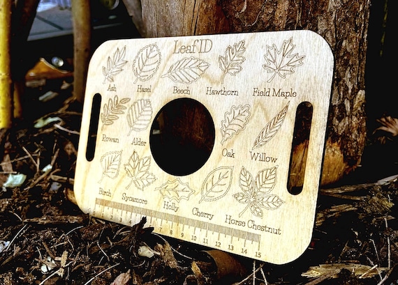 Nature Learning Leaf Tray, Birch Wood, Engraved Leaves (14 Pieces)