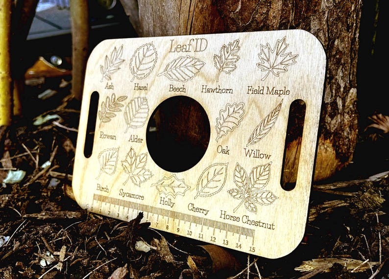 A wooden leaf identification card is lying on the ground next to a tree trunk.