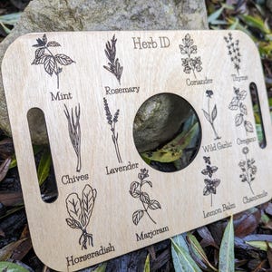 Nature Learning Herb Tray, Birch Wood (12 Engraved Herbs, Handles) image 2