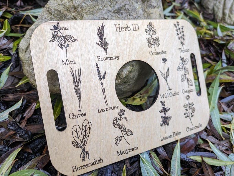 Nature Learning Herb Tray, Birch Wood (12 Engraved Herbs, Handles) image 2