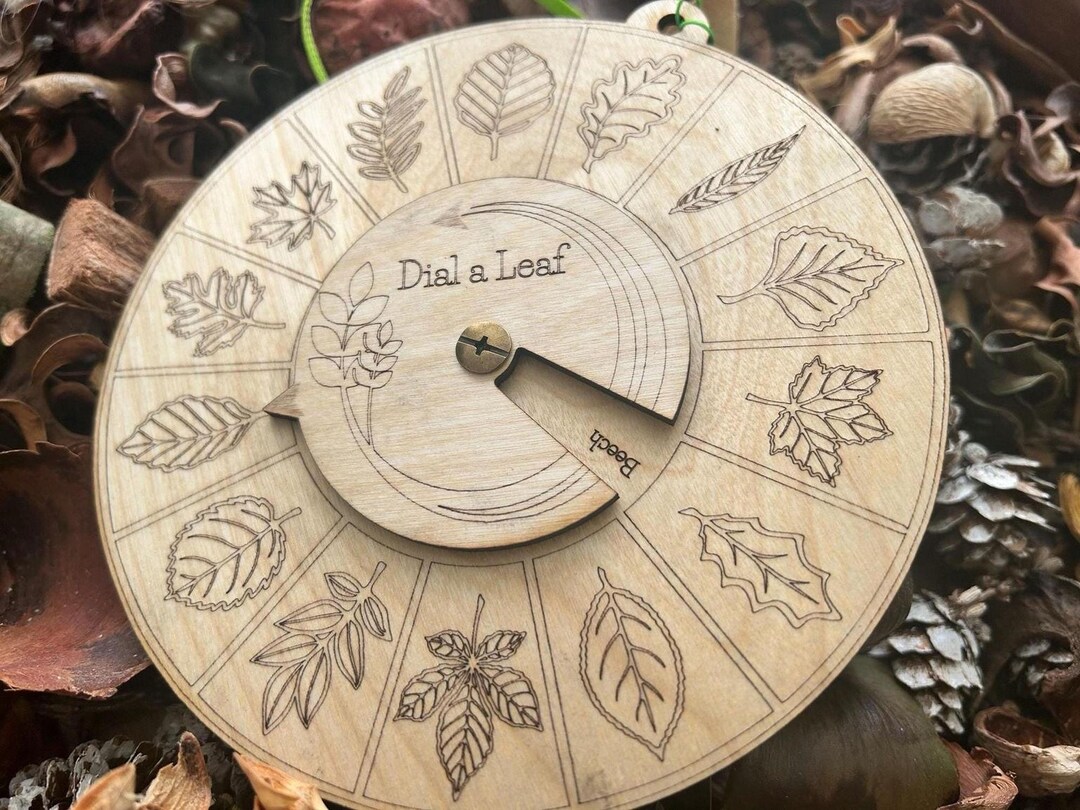 Leaf Identifier With Dial - 14 Common Leaves for Outdoor Learning - Etsy