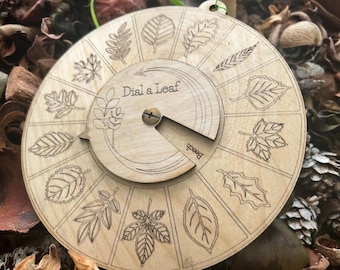 Leaf Identifier with Dial - 14 Common Leaves for Outdoor Learning