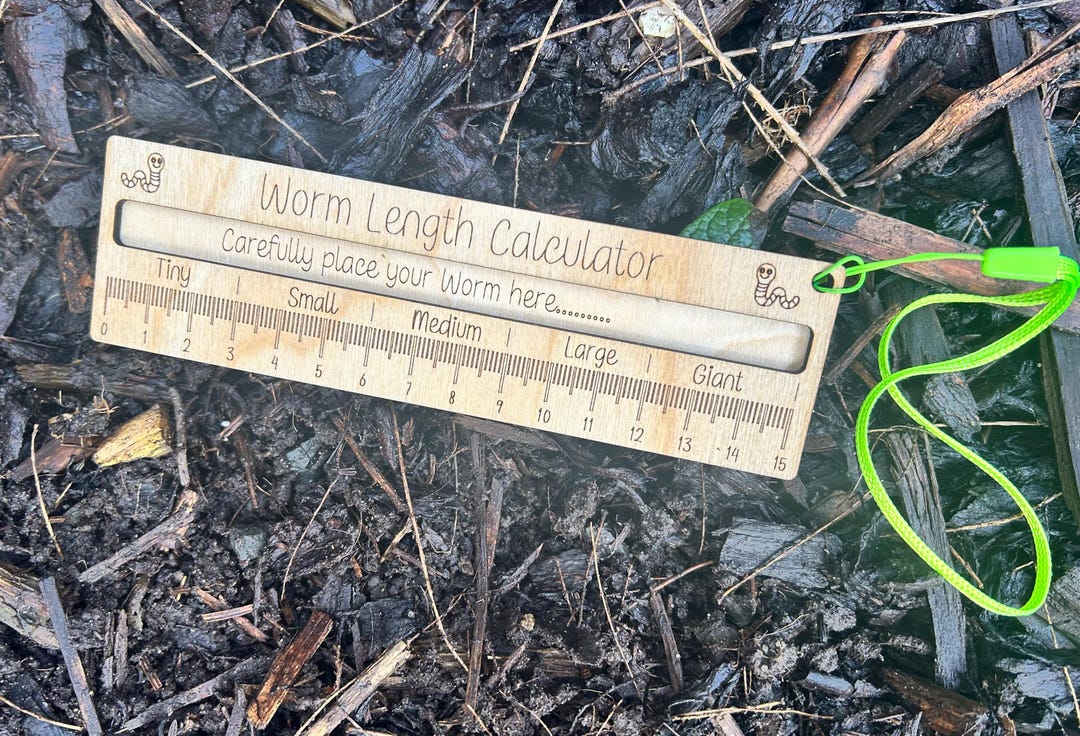 Stone Nature Ruler Worm Measurement Tool: Interactive Nature Ruler - Birch Wood With ...