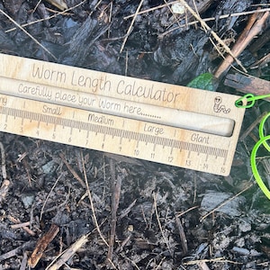 A wooden ruler with a green string attached, lying on a bed of leaves and twigs.