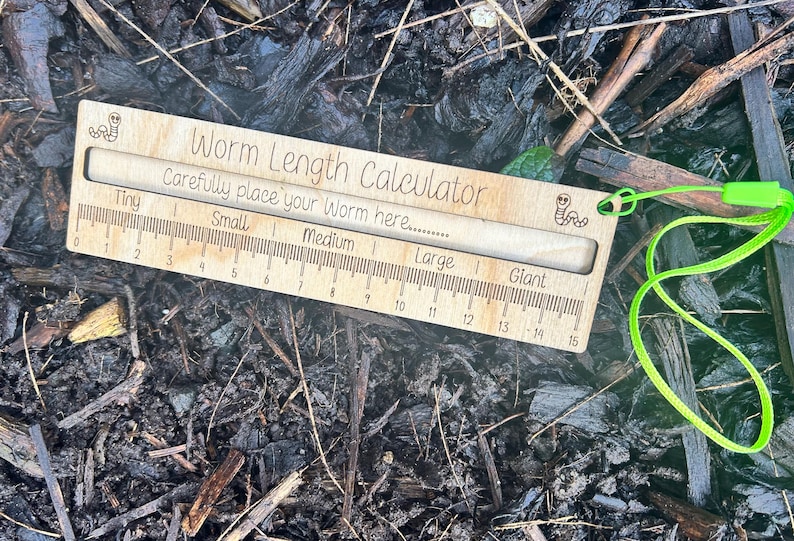 A wooden ruler with a green string attached, lying on a bed of leaves and twigs.
