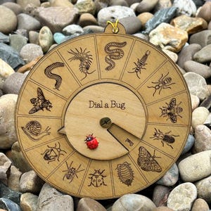 May include: A circular wooden Dial a Bug educational tool featuring twelve engraved insect and invertebrate illustrations. A small red and black ladybird figurine is attached to the rotating centre dial, which points to the word Snail.