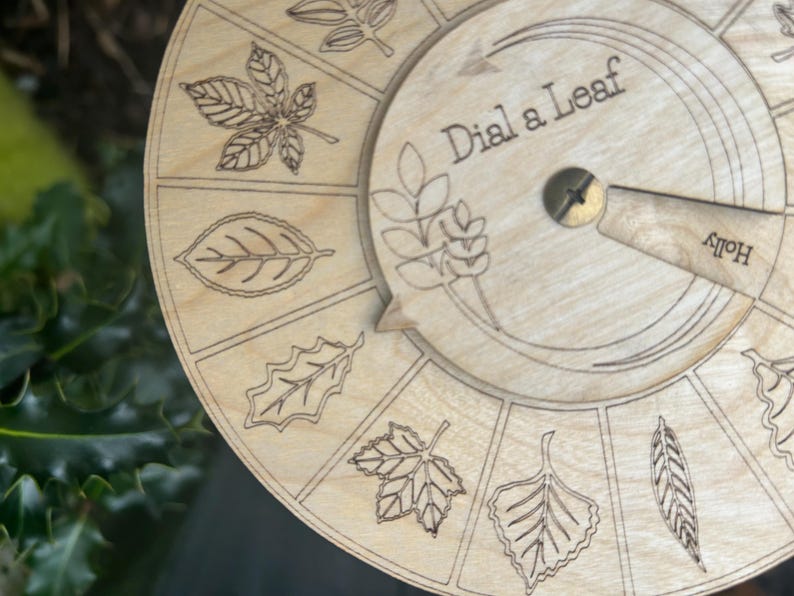 Leaf Identifier With Dial - 14 Common Leaves for Outdoor Learning - Etsy