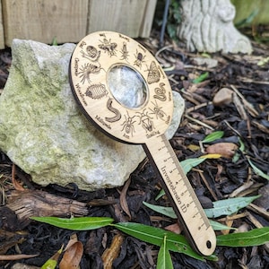 Invertebrate Magnifying Glass: Birch Wood Outdoor Learning Toy