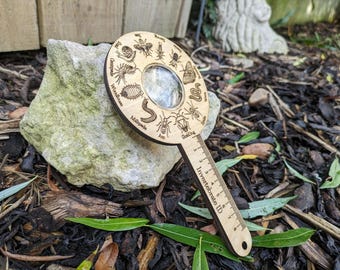 Invertebrate Magnifying Glass: Birch Wood Outdoor Learning Toy