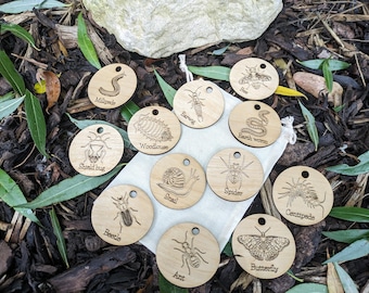Invertebrate Learning Discs - Portable UK Wildlife Study Set