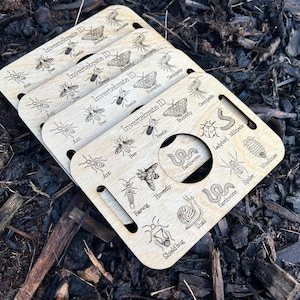 Mini Bug Identification Boards - Birch Wood, UK Insect Engraving