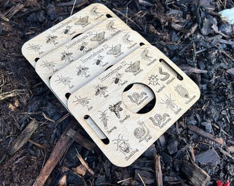 Mini Bug Identification Boards - Birch Wood, UK Insect Engraving