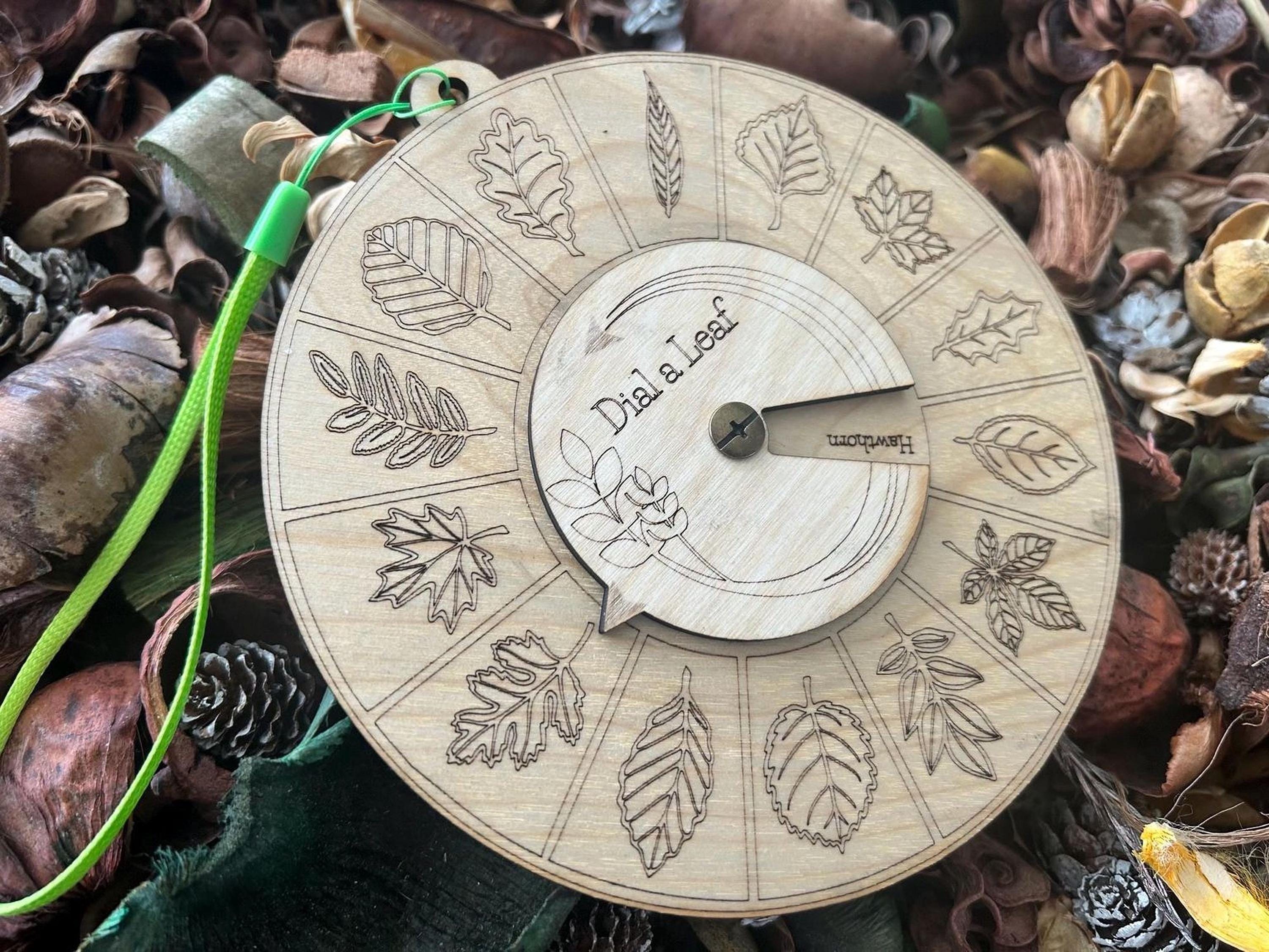 Birch Wood Leaf Identifier Dial - 14 Common Leaves for Outdoor Learning ...