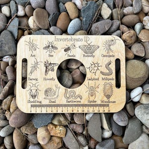 May include: A rectangular light-coloured wooden board labelled Invertebrate ID with a central circular cutout and two side handles. It features engraved illustrations of an ant, bee, beetle, butterfly, centipede, earwig, hoverfly, ladybird, millipede, shield bug, snail, earthworm, spider, and woodlouse, with a 15 cm ruler printed along the bottom edge.