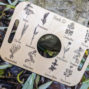 Nature Learning Herb Tray, Birch Wood (12 Engraved Herbs, Handles) image 8