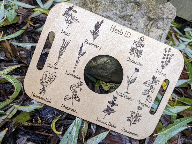 Nature Learning Herb Tray, Birch Wood (12 Engraved Herbs, Handles) image 8