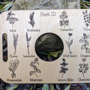 Nature Learning Herb Tray, Birch Wood (12 Engraved Herbs, Handles) image 1